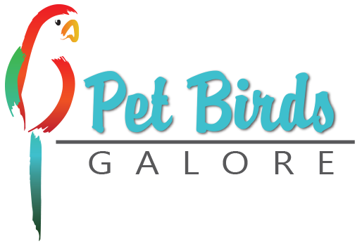 Pet Birds Logo